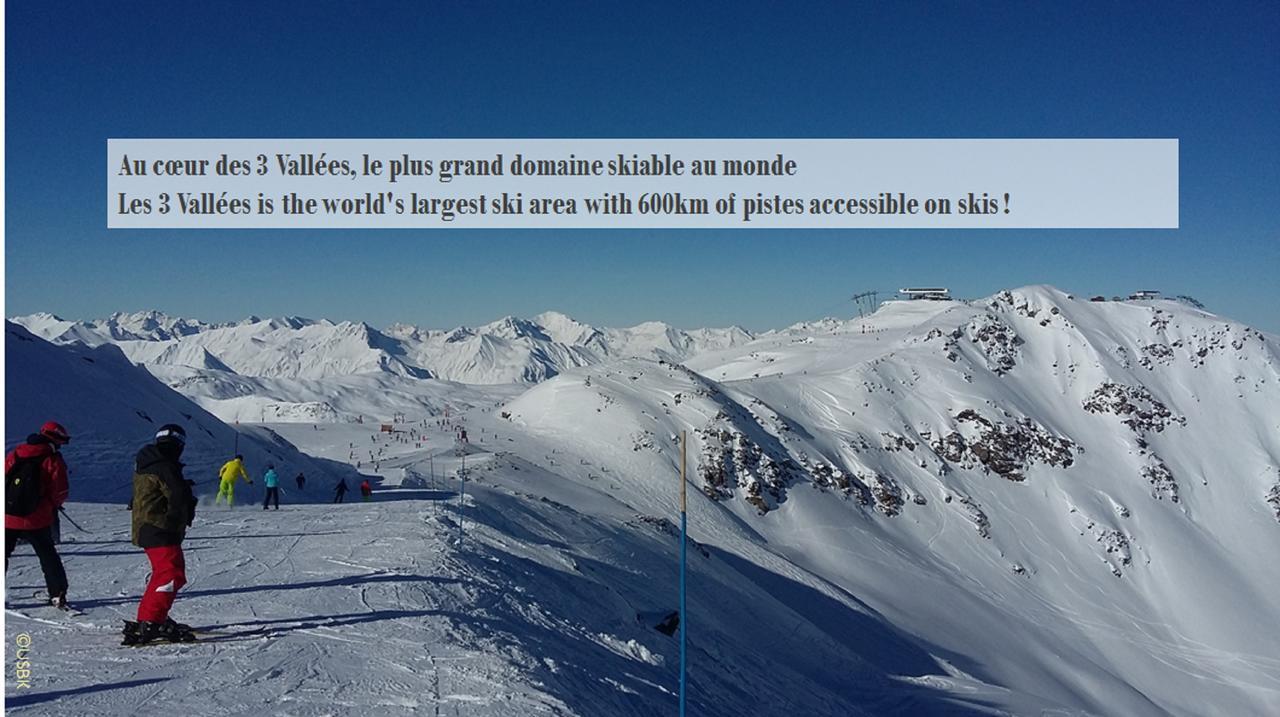 Hotel Le Chamois D'Or, Ussim Vacances Méribel Dış mekan fotoğraf